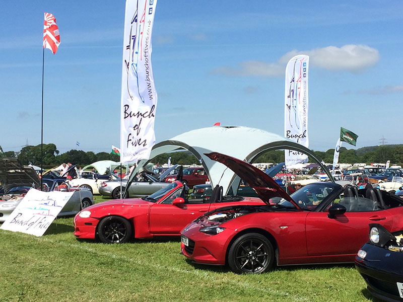 Bunch of Fives, ACNW Betws y Coed Car Show