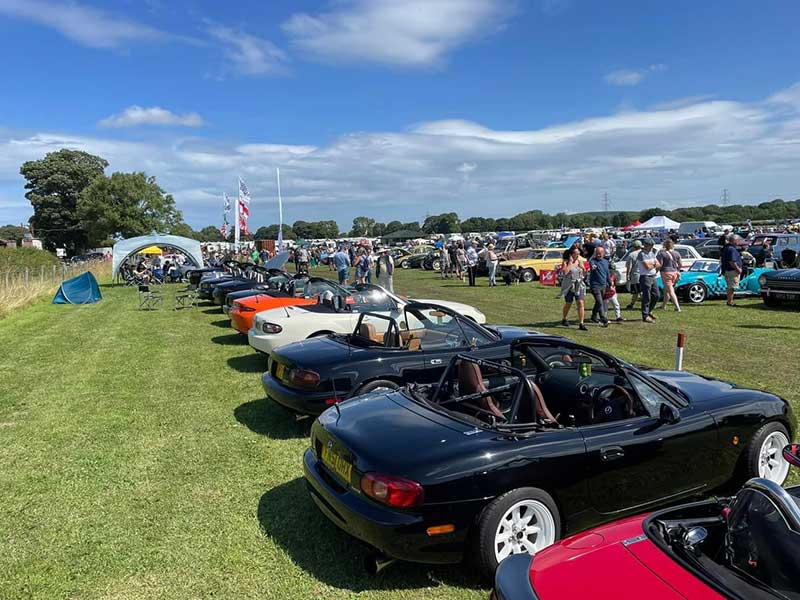 Bunch of Fives MX5