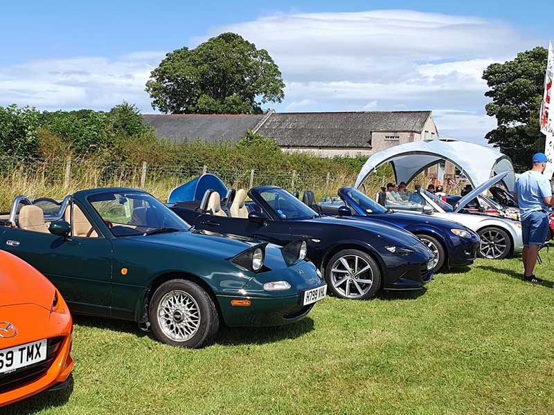 Bunch of Fives MX5, Cheshire